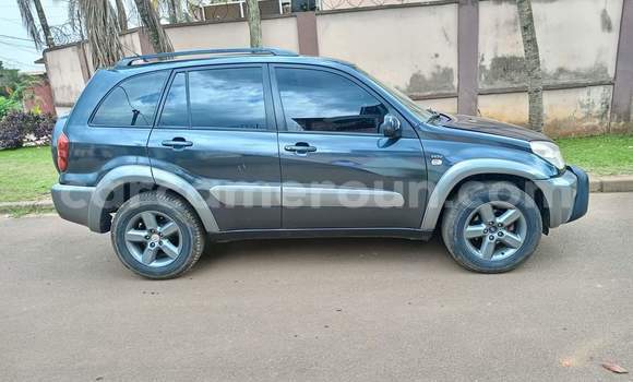 Buy Used Toyota RAV4 Other Car in Yaounde in Central Cameroon Buy Used Toyota RAV4 Other Car in Yaounde in Central Cameroon