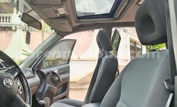 Buy Used Toyota RAV4 Other Car in Yaounde in Central Cameroon Buy Used Toyota RAV4 Other Car in Yaounde in Central Cameroon