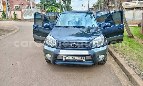 Buy Used Toyota RAV4 Other Car in Yaounde in Central Cameroon Buy Used Toyota RAV4 Other Car in Yaounde in Central Cameroon
