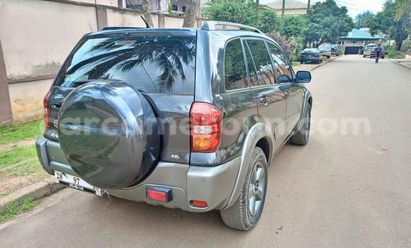 Buy Used Toyota RAV4 Other Car in Yaounde in Central Cameroon Buy Used Toyota RAV4 Other Car in Yaounde in Central Cameroon