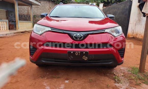 Acheter Import Voiture Toyota RAV4 Rouge à Yaoundé, Central Cameroon Acheter Import Voiture Toyota RAV4 Rouge à Yaoundé, Central Cameroon