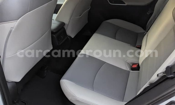 Acheter Import Voiture Toyota RAV4 Blanc à Douala, Littoral Cameroon Acheter Import Voiture Toyota RAV4 Blanc à Douala, Littoral Cameroon