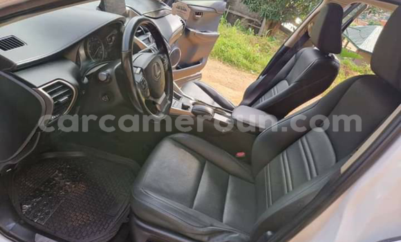Sayi Na hannu Lexus NX White Mota in Yaounde a Babban Kamaru