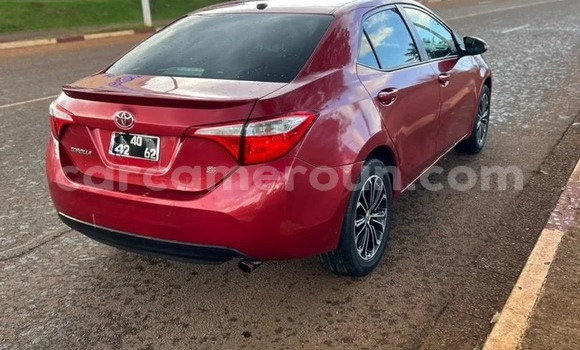 Acheter Occasion Voiture Toyota Corolla Rouge à Yaoundé, Central Cameroon Acheter Occasion Voiture Toyota Corolla Rouge à Yaoundé, Central Cameroon