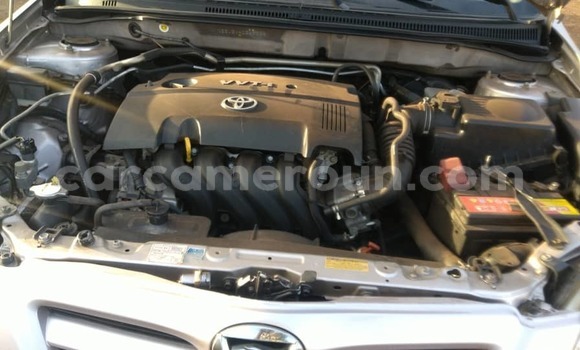 Acheter Import Voiture Toyota Runx Gris à Yaoundé, Central Cameroon