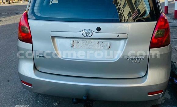 Buy Import Toyota Corolla Verso Silver Car in Douala in Littoral Cameroon Buy Import Toyota Corolla Verso Silver Car in Douala in Littoral Cameroon