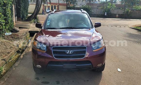 Buy Used Hyundai Santa Fe Red Car in Yaounde in Central Cameroon