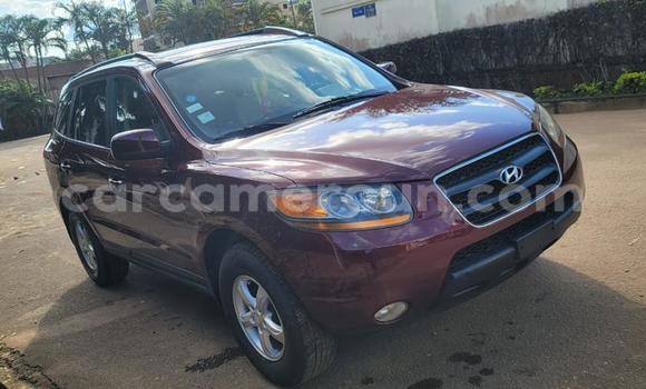 Buy Used Hyundai Santa Fe Red Car in Yaounde in Central Cameroon Buy Used Hyundai Santa Fe Red Car in Yaounde in Central Cameroon