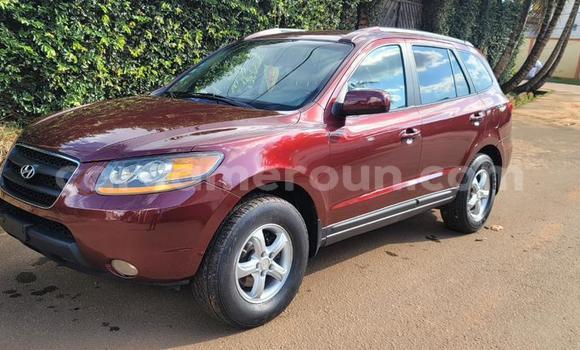 Buy Used Hyundai Santa Fe Red Car in Yaounde in Central Cameroon Buy Used Hyundai Santa Fe Red Car in Yaounde in Central Cameroon