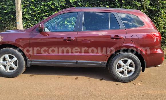 Buy Used Hyundai Santa Fe Red Car in Yaounde in Central Cameroon Buy Used Hyundai Santa Fe Red Car in Yaounde in Central Cameroon