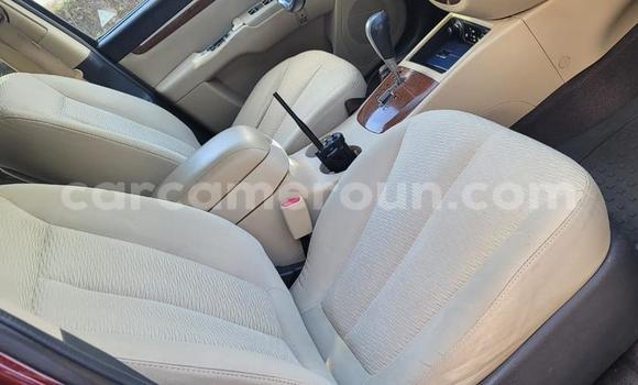 Buy Used Hyundai Santa Fe Red Car in Yaounde in Central Cameroon Buy Used Hyundai Santa Fe Red Car in Yaounde in Central Cameroon