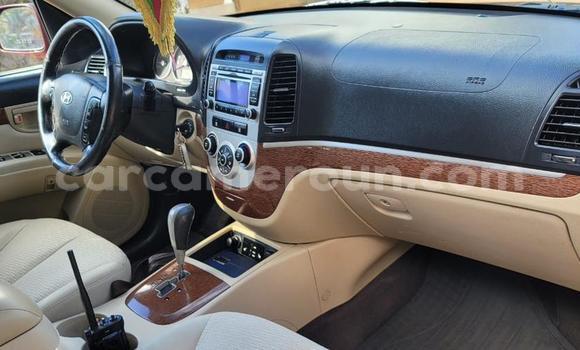 Buy Used Hyundai Santa Fe Red Car in Yaounde in Central Cameroon Buy Used Hyundai Santa Fe Red Car in Yaounde in Central Cameroon