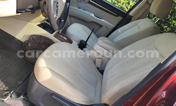 Buy Used Hyundai Santa Fe Red Car in Yaounde in Central Cameroon Buy Used Hyundai Santa Fe Red Car in Yaounde in Central Cameroon