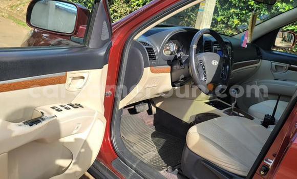 Buy Used Hyundai Santa Fe Red Car in Yaounde in Central Cameroon Buy Used Hyundai Santa Fe Red Car in Yaounde in Central Cameroon