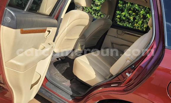 Buy Used Hyundai Santa Fe Red Car in Yaounde in Central Cameroon Buy Used Hyundai Santa Fe Red Car in Yaounde in Central Cameroon