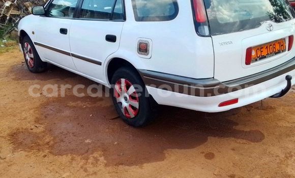 Buy Used Toyota Corolla White Car in Yaounde in Central Cameroon