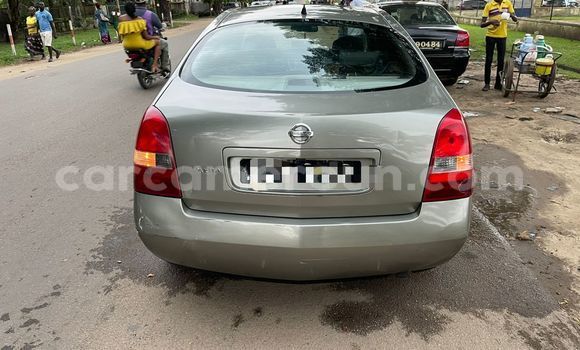 Buy Used Nissan Primera Silver Car in Douala in Littoral Cameroon Buy Used Nissan Primera Silver Car in Douala in Littoral Cameroon
