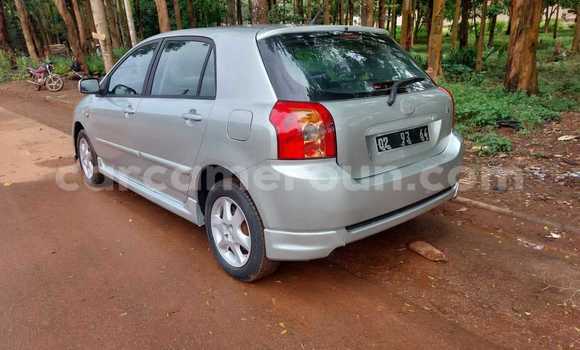 Acheter Occasion Voiture Toyota Corolla Gris à Yaoundé, Central Cameroon