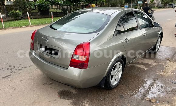 Acheter Occasion Voiture Nissan Primera Gris à Douala, Littoral Cameroon Acheter Occasion Voiture Nissan Primera Gris à Douala, Littoral Cameroon