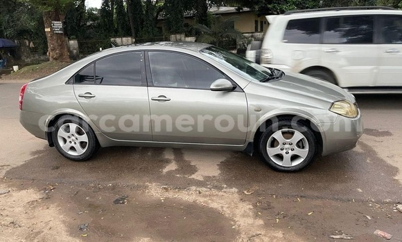 Acheter Occasion Voiture Nissan Primera Gris à Douala, Littoral Cameroon Acheter Occasion Voiture Nissan Primera Gris à Douala, Littoral Cameroon