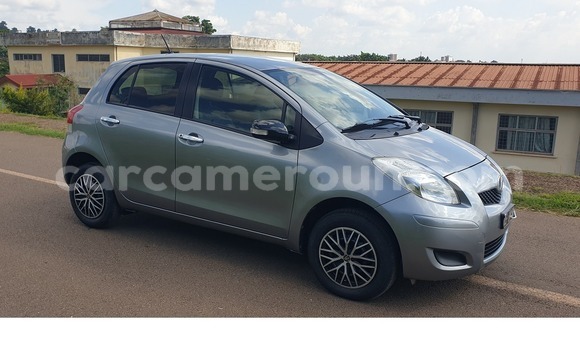 Buy Used Toyota Vitz Silver Car in Yaounde in Central Cameroon