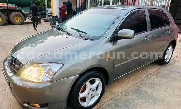 Sayi Na hannu Toyota Corolla Sauran Mota in Douala a Ƙasar Kamaru