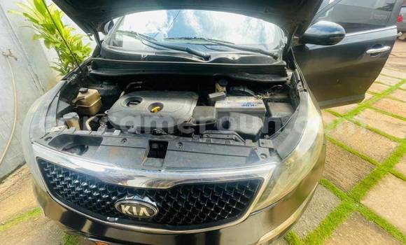 Buy Used Kia Sportage Other Car in Douala in Littoral Cameroon
