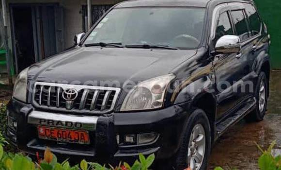 Sayi Na hannu Toyota Land Cruiser Black Mota in Douala a Ƙasar Kamaru