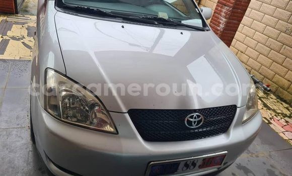 Sayi Na hannu Toyota Corolla Sauran Mota in Douala a Ƙasar Kamaru