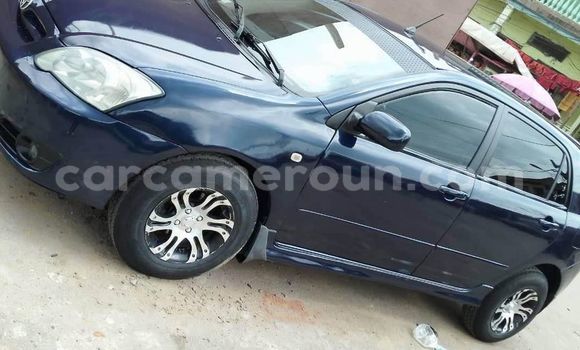 Sayi Na hannu Toyota Runx Blue Mota in Douala a Ƙasar Kamaru Sayi Na hannu Toyota Runx Blue Mota in Douala a Ƙasar Kamaru