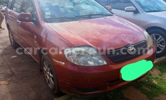 Buy Used Toyota Corolla Brown Car in Yaounde in Central Cameroon
