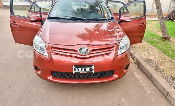 Buy Used Toyota Auris Red Car in Yaounde in Central Cameroon Buy Used Toyota Auris Red Car in Yaounde in Central Cameroon