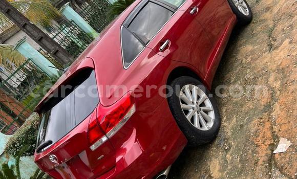 Buy Used Toyota Venza Red Car in Yaounde in Central Cameroon Buy Used Toyota Venza Red Car in Yaounde in Central Cameroon