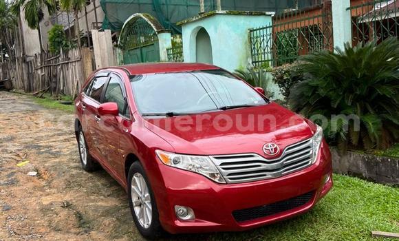 Buy Used Toyota Venza Red Car in Yaounde in Central Cameroon Buy Used Toyota Venza Red Car in Yaounde in Central Cameroon