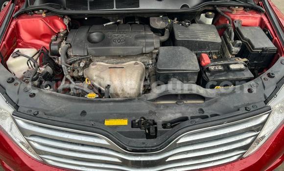 Buy Used Toyota Venza Red Car in Yaounde in Central Cameroon Buy Used Toyota Venza Red Car in Yaounde in Central Cameroon