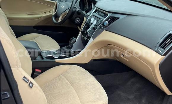Buy Used Hyundai Sonata Black Car in Yaounde in Central Cameroon Buy Used Hyundai Sonata Black Car in Yaounde in Central Cameroon