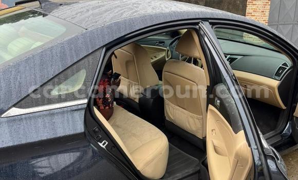 Buy Used Hyundai Sonata Black Car in Yaounde in Central Cameroon Buy Used Hyundai Sonata Black Car in Yaounde in Central Cameroon