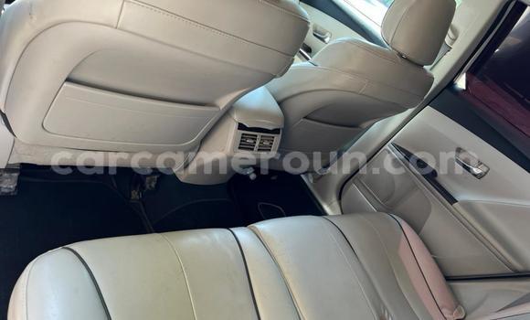 Sayi Na hannu Toyota Venza White Mota in Douala a Ƙasar Kamaru Sayi Na hannu Toyota Venza White Mota in Douala a Ƙasar Kamaru