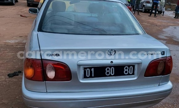 Buy Used Toyota Allion Other Car in Yaounde in Central Cameroon Buy Used Toyota Allion Other Car in Yaounde in Central Cameroon