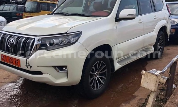 Buy Used Toyota Corolla White Car in Yaounde in Central Cameroon