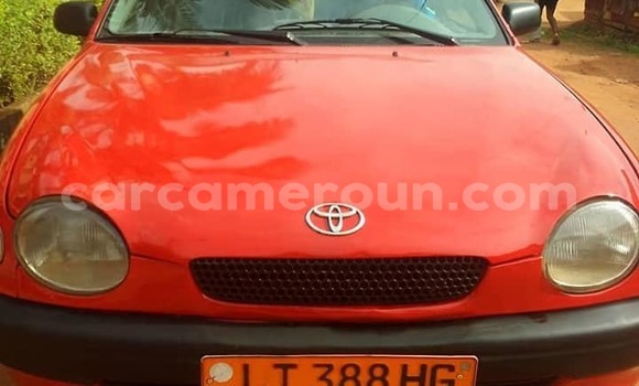 Sayi Na hannu Volkswagen Beetle Red Mota in Yaounde a Babban Kamaru Sayi Na hannu Volkswagen Beetle Red Mota in Yaounde a Babban Kamaru