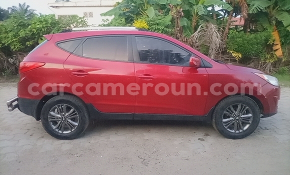 Buy Used Hyundai Tucson Red Car in Douala in Littoral Cameroon Buy Used Hyundai Tucson Red Car in Douala in Littoral Cameroon