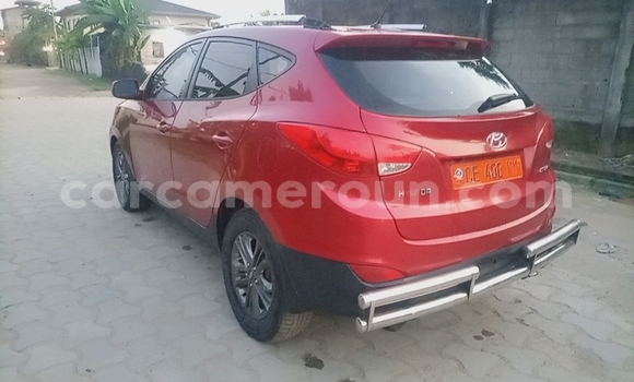 Buy Used Hyundai Tucson Red Car in Douala in Littoral Cameroon Buy Used Hyundai Tucson Red Car in Douala in Littoral Cameroon