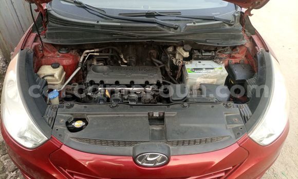 Buy Used Hyundai Tucson Red Car in Douala in Littoral Cameroon Buy Used Hyundai Tucson Red Car in Douala in Littoral Cameroon
