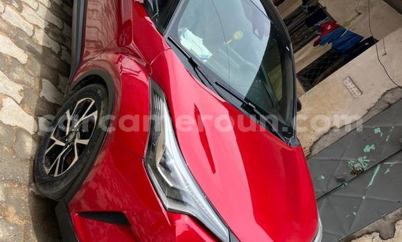 Acheter Occasion Voiture Toyota C-HR Rouge à Douala, Littoral Cameroon