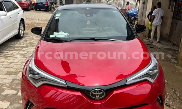 Sayi Na hannu Toyota C-HR Red Mota in Douala a Ƙasar Kamaru Sayi Na hannu Toyota C-HR Red Mota in Douala a Ƙasar Kamaru