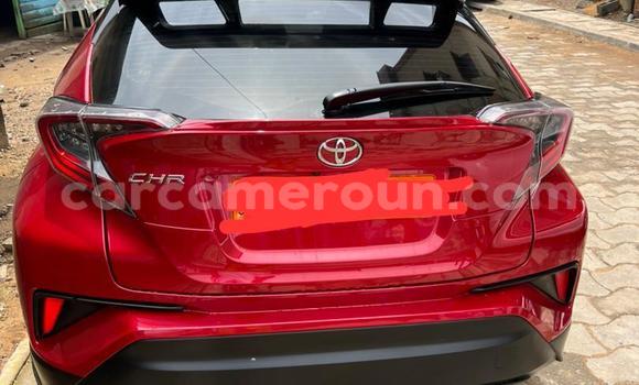 Sayi Na hannu Toyota C-HR Red Mota in Douala a Ƙasar Kamaru Sayi Na hannu Toyota C-HR Red Mota in Douala a Ƙasar Kamaru