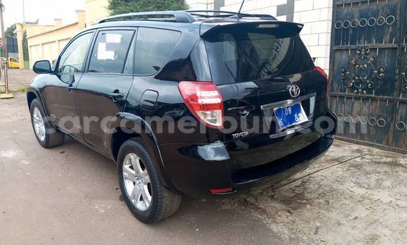 Acheter Occasion Voiture Toyota RAV4 Noir à Yaoundé, Central Cameroon Acheter Occasion Voiture Toyota RAV4 Noir à Yaoundé, Central Cameroon