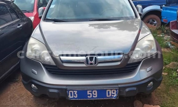 Acheter Occasion Voiture Honda CR–V Autre à Douala, Littoral Cameroon Acheter Occasion Voiture Honda CR–V Autre à Douala, Littoral Cameroon