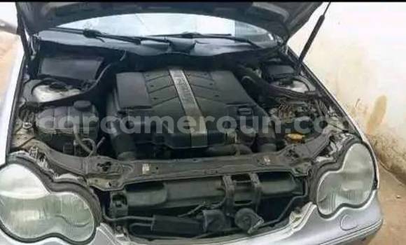 Sayi Na hannu Mercedes‒Benz KOMPRESSOR Sauran Mota in Yaounde a Babban Kamaru Sayi Na hannu Mercedes‒Benz KOMPRESSOR Sauran Mota in Yaounde a Babban Kamaru